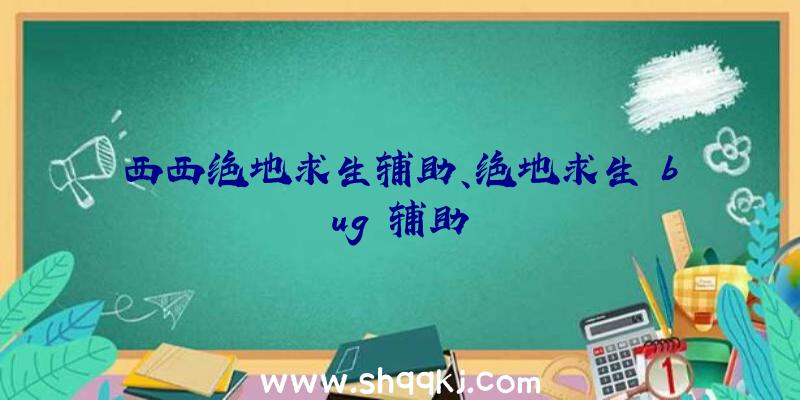 西西绝地求生辅助、绝地求生